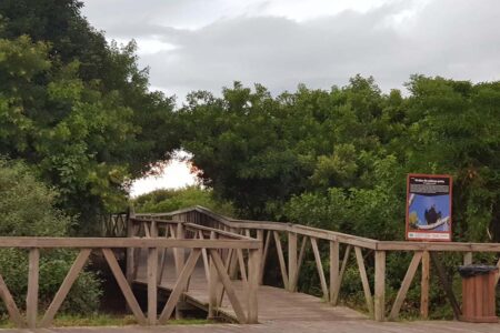 Navegantes pede autorização ao Ministério Público Federal para realizar poda da restinga