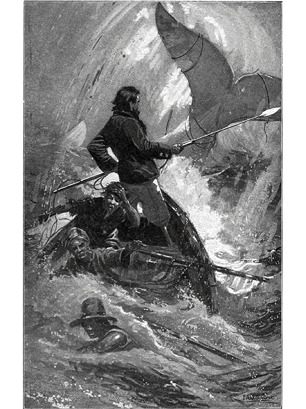 "Moby Dick" - gravura .