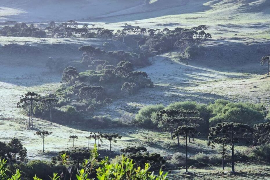 frio santa catarina junho 2025