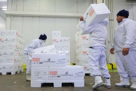 Sine SC oferece mais quase 8,4 mil vagas de emprego em todo o Estado