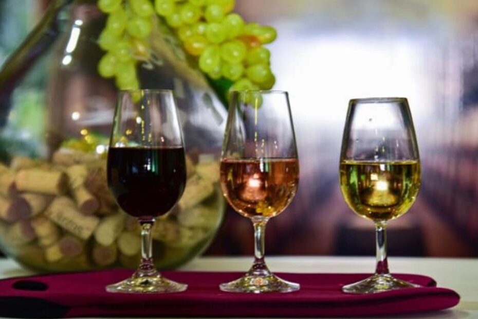 vinhos catarinenses hojesc
