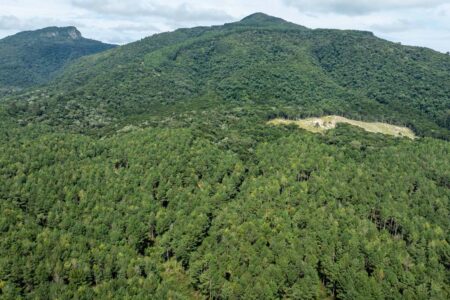 Santa Catarina consegue suspender processos que questionam Código Estadual do Meio Ambiente