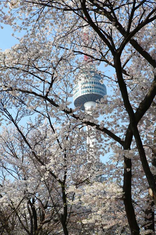 Namsan Seoul Tower