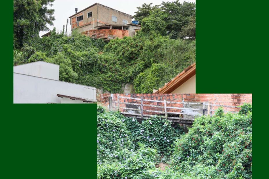 bairro estreito florianopolis hojesc