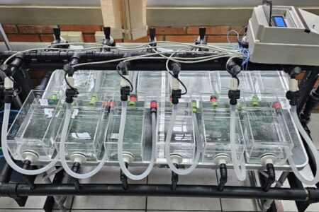 Equipamento ajuda no estudo do impacto da criação de ostras e mexilhões em SC