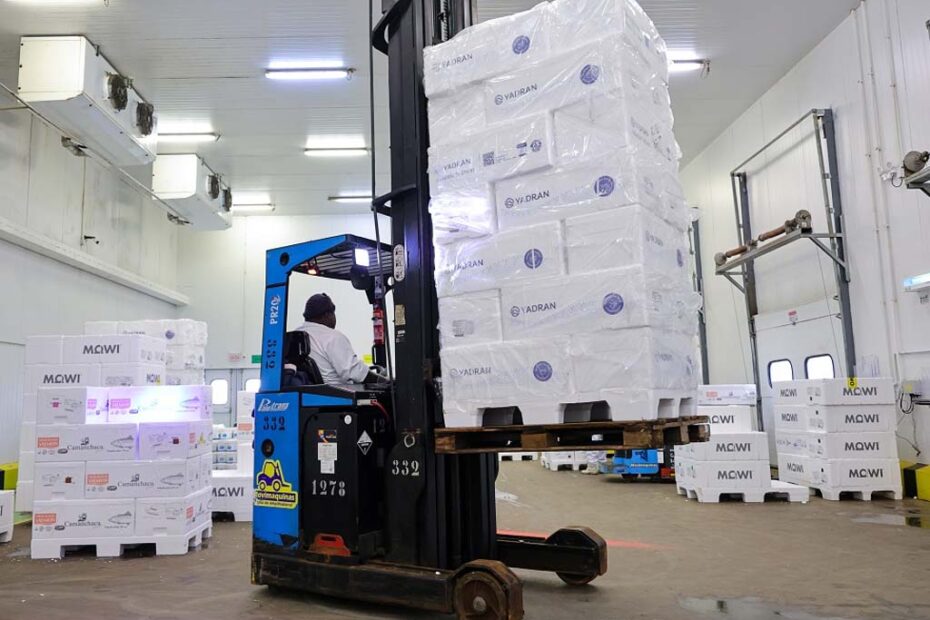 santa catarina economia