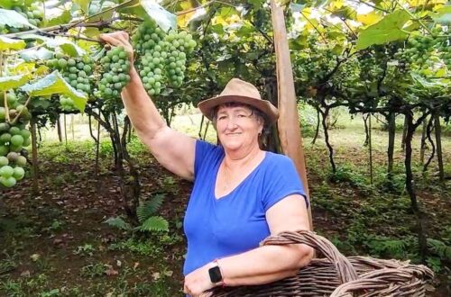 Santa Catarina tem o menor índice de insegurança alimentar do Brasil