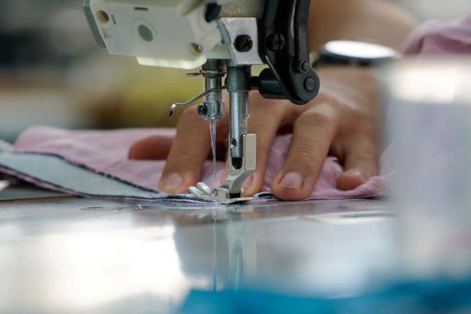 Economia criativa santa catarina