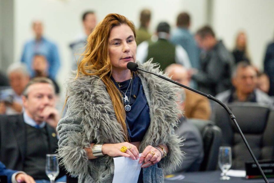 deputada paulinha podemos alesc