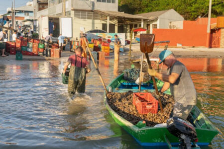 Fotógrafo Alvaro Fiore faz exposição sobre a maricultura de Bombinhas no Festival do Mar