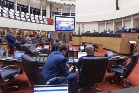 Alesc: deputados estaduais aprovam empréstimo de R$ 1,6 bilhão da Celesc junto ao BID