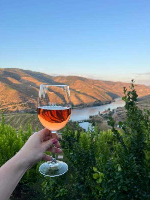 Vila galé douro vineyards