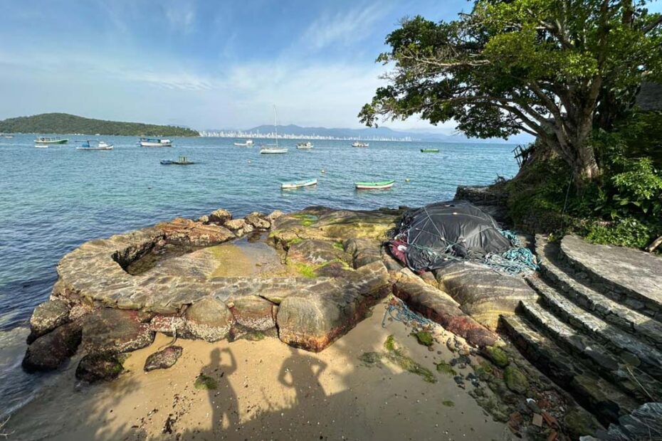 araca trapiche porto belo