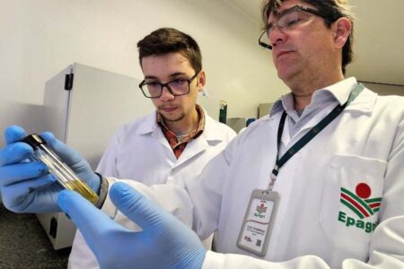 Projeto catarinense estuda bactérias que promovem o crescimento qualitativo de plantas