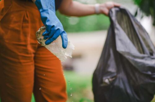 Santa Catarina se mobiliza com ações de enfrentamento ao mosquito da dengue