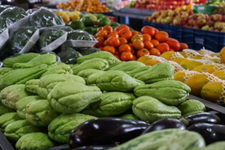 Santa Catarina tem a maior proporção de domicílios com Segurança Alimentar do País