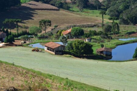 Coopera Agro SC quer impulsionar investimentos de R$ 26 bi e gerar 40 mil empregos