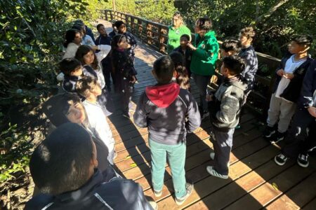 Porto Belo: visitas ao Parque da Lagoa do Perequê reforçam educação ambiental