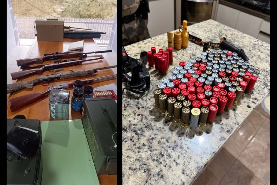 armas caca animais silvestres santa catarina