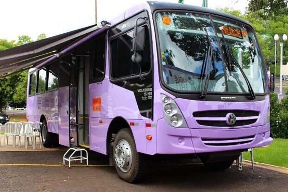 onibus lilas porto belo