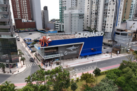 Aquário em Balneário Camboriú comemorou seis anos e sorteou mergulho com tubarões