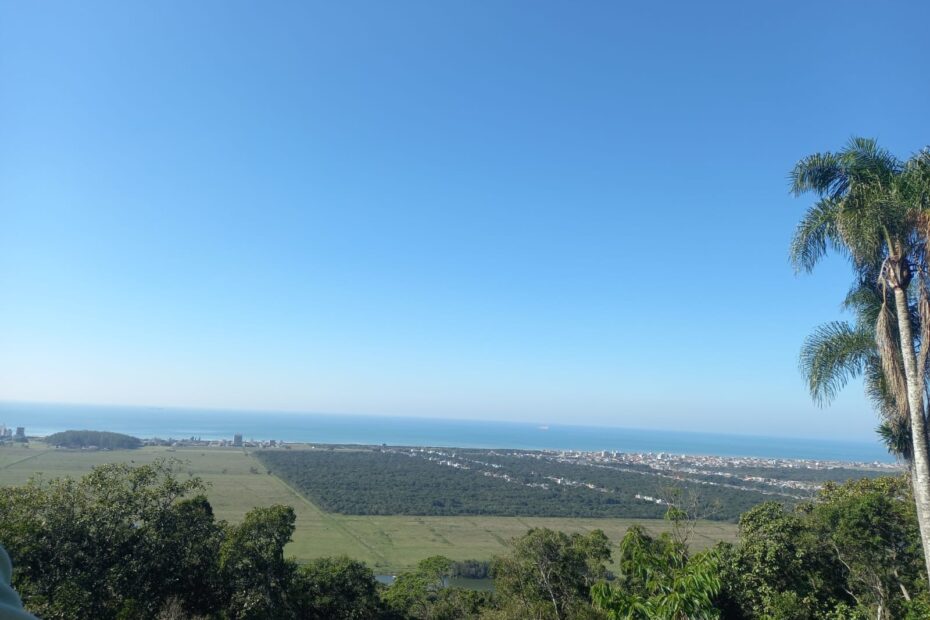 navegantes