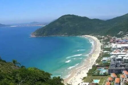 Polícia e MPSC seguem investigando caso de maus-tratos a cães em Florianópolis