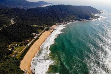 Caso Praia do Pinho: Largados e Pelados em Balneário Camboriú (não é bem assim)