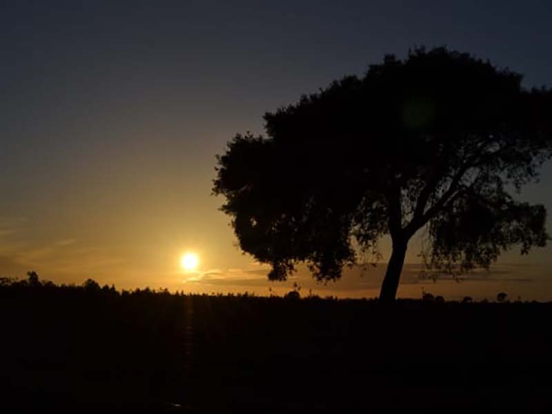 Por do Sol na Quinta do Brejinho em Portugal