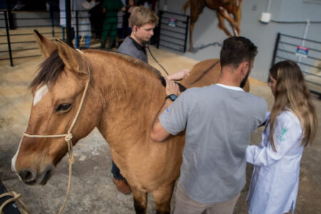 UniSociesc promove Semana das Profissões com atividades práticas em saúde e medicina veterinária