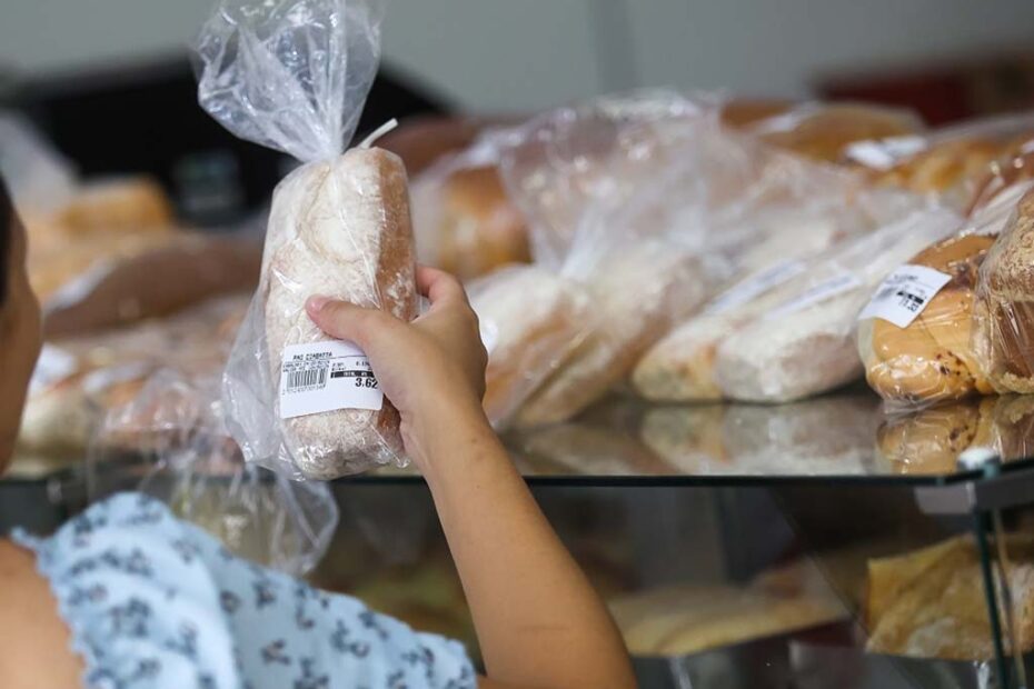 comercio santa catarina 2025