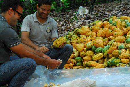 Marca de chocolates de SC conquista prêmio ambiental por virada na relação com cacauicultores