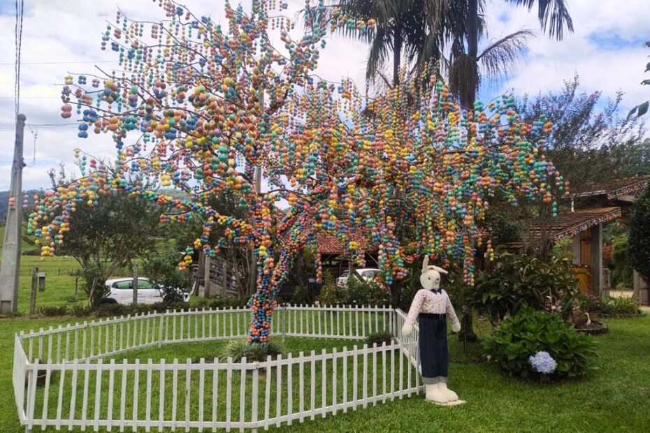 Osterbaum camboriu