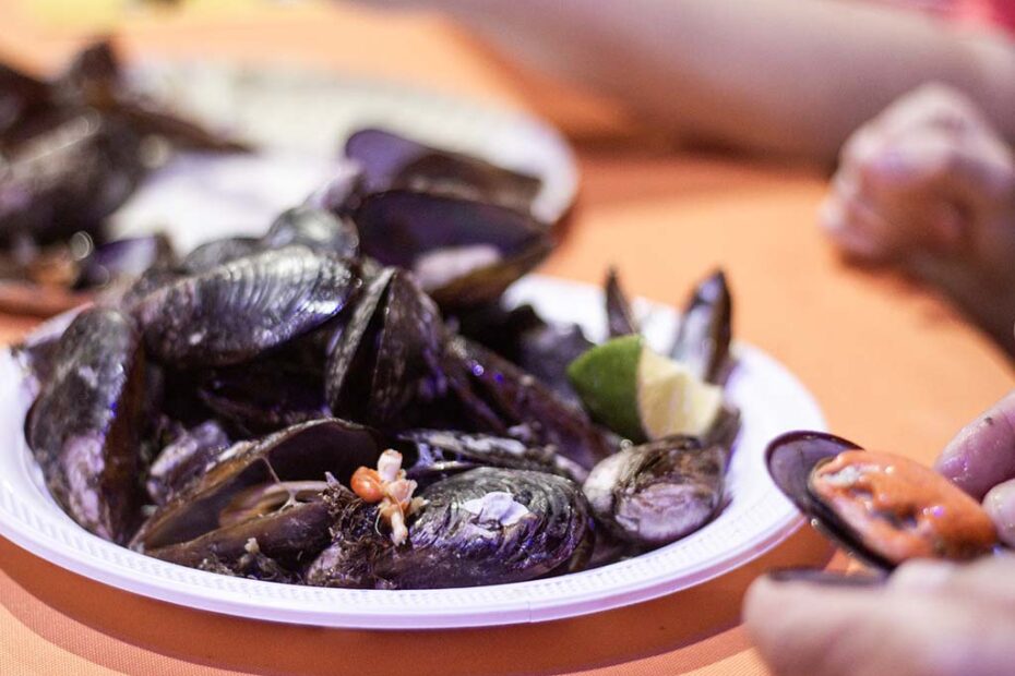 gastronomia penha