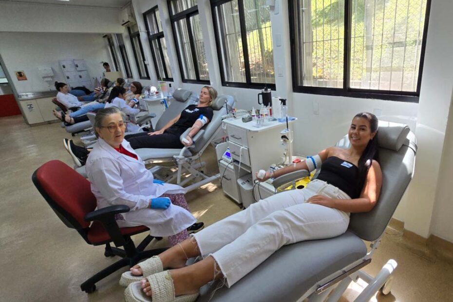 porto belo hemosc doacao de sangue