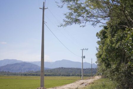 Ampliação da rede trifásica fortalece produção rural em Santa Catarina