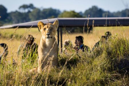 África: o continente que caiu no gosto dos brasileiros