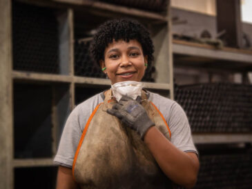 Blumenau Iluminação investe em estratégias para atrair e reter talentos de todas as gerações