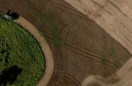 agropecuaria catarinense