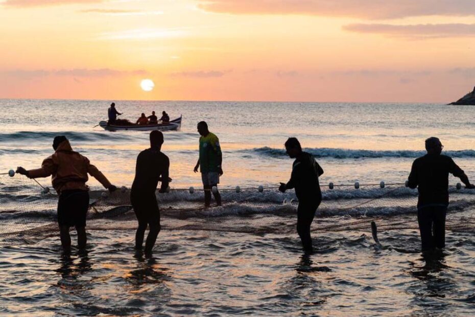 pesca da tainha itapema