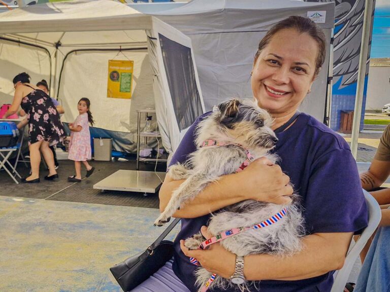 pets caes navegantes