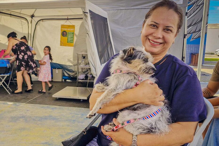 pets caes navegantes