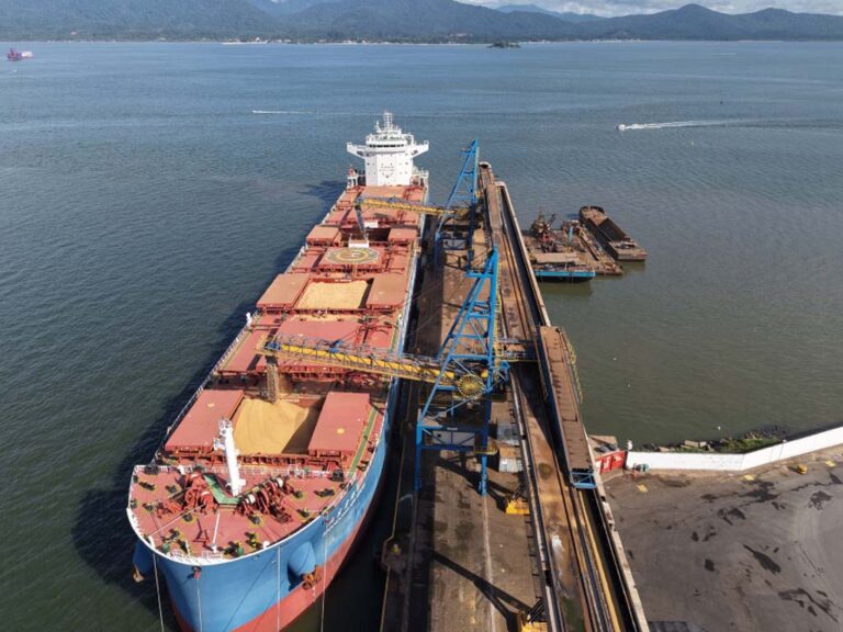Porto de São Francisco do Sul