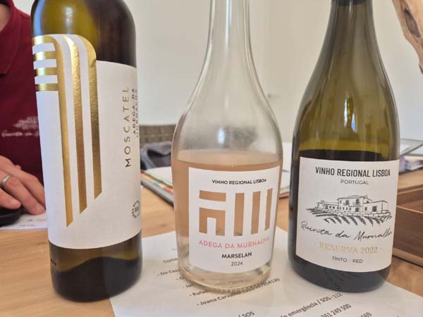 vinhos