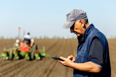 Alesc: novos projetos propõem mudanças em áreas como saúde, educação, cotas e internet rural