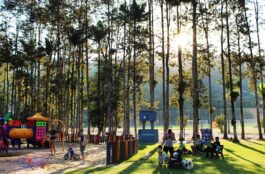 blumenau parque