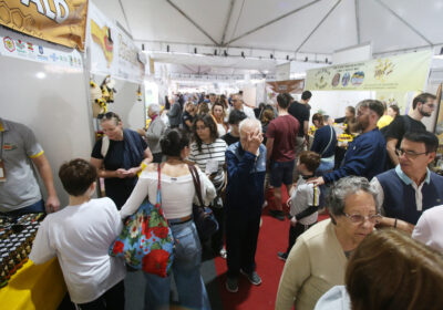 25ª Feira do Mel de SC reúne produtores em Floripa e projeta comercialização de até 55 toneladas de produtos