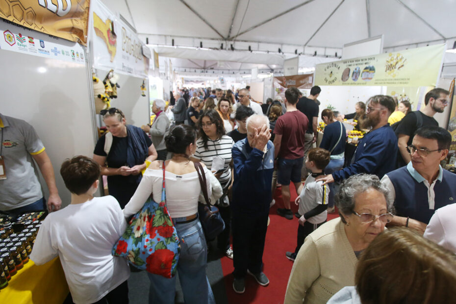 mel santa catarina feira