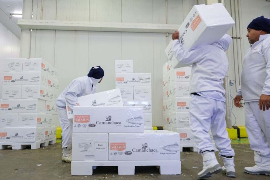 trabalho economia desemprego