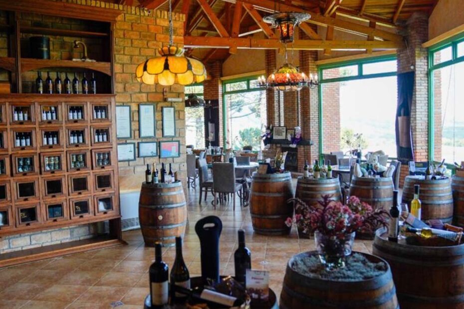 vinhos wine santa catarina